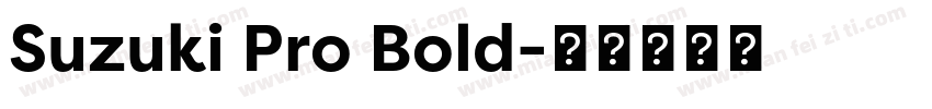 Suzuki Pro Bold字体转换